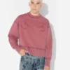 Sudadera bordada «The Needles»
