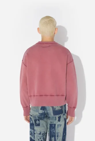 Sudadera bordada «The Needles»