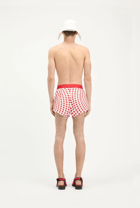 The red polka-dot slips The red polka-dot slips